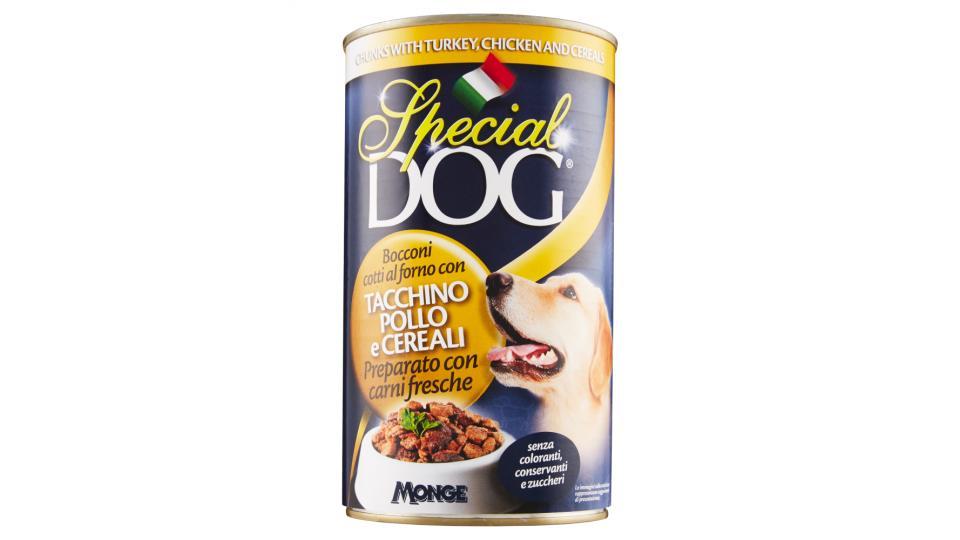 Special Dog Bocconi cotti al forno con tacchino pollo e cereali
