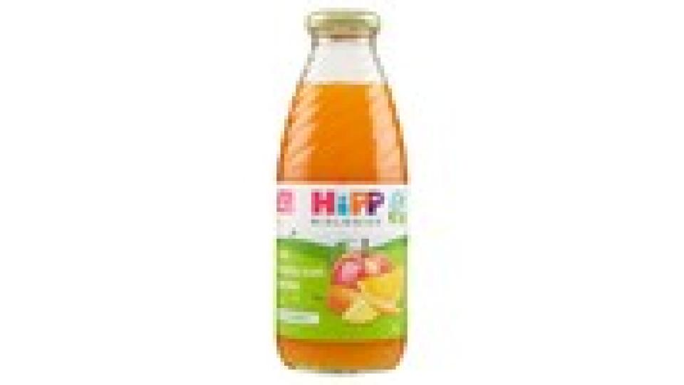 HiPP Biologico 100% Frutta con carote