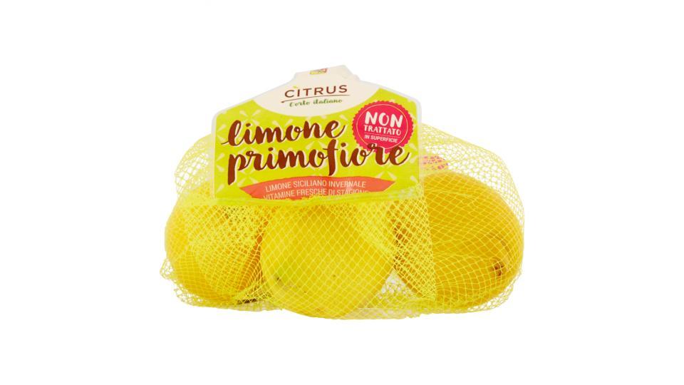 Citrus l'orto italiano limone primofiore