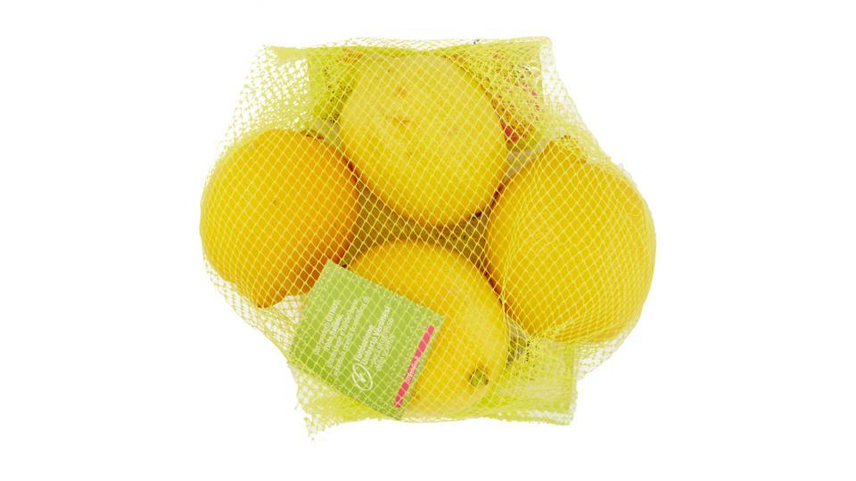 Citrus l'orto italiano limone primofiore