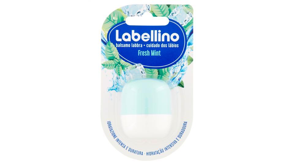 Labellino balsamo labbra Fresh Mint