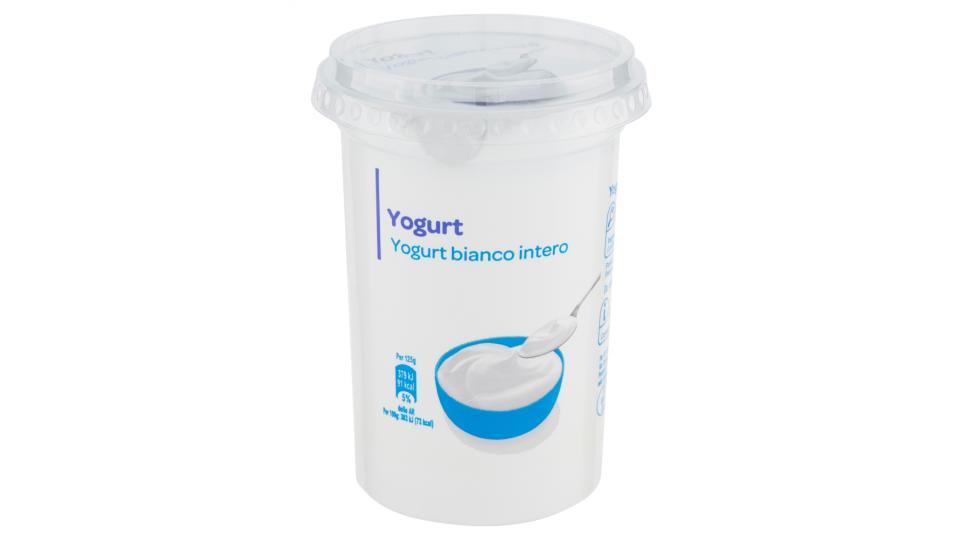 Yogurt bianco intero