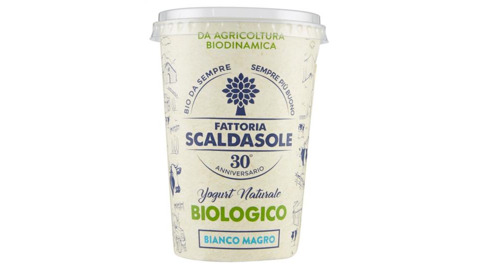 Fattoria Scaldasole Yogurt Naturale Biologico Bianco Magro