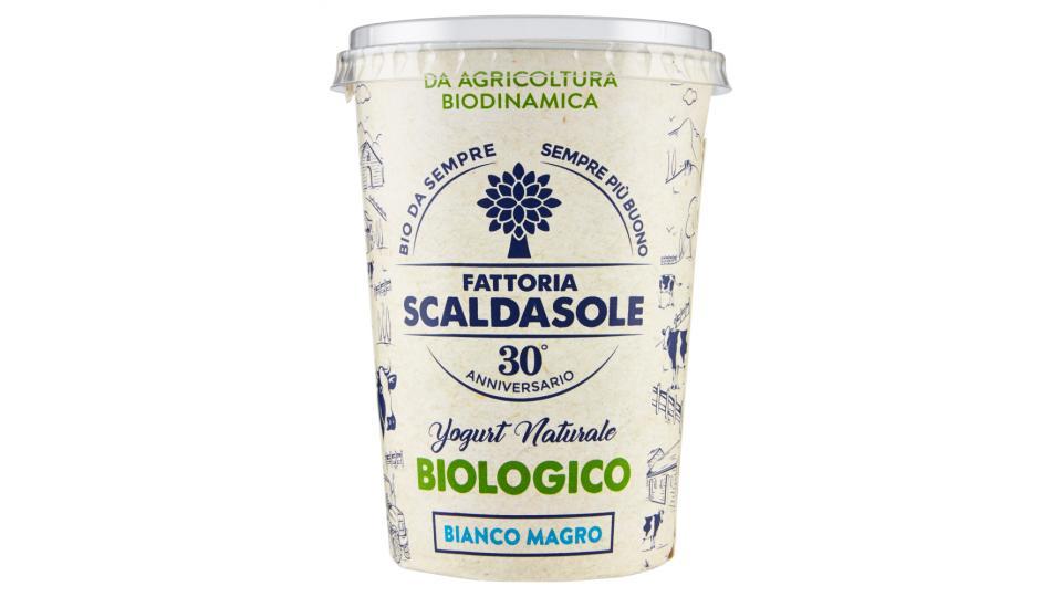 Fattoria Scaldasole Yogurt Naturale Biologico Bianco Magro