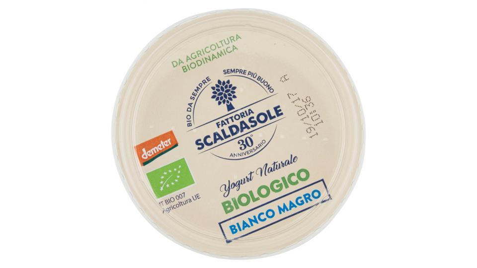 Fattoria Scaldasole Yogurt Naturale Biologico Bianco Magro