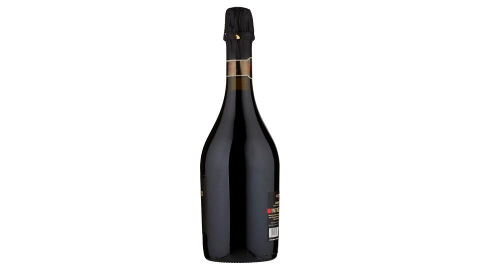 Righi Notturno Lambrusco Scuro Emilia Igt