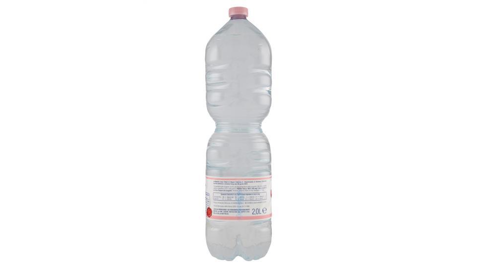 Acqua Minerale Fonte Guizza Naturale