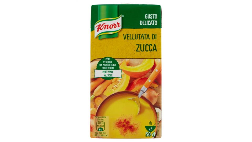 Knorr vellutata zucca brick