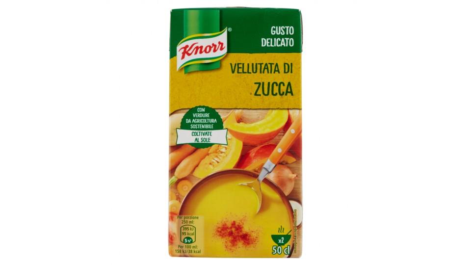 Knorr vellutata zucca brick