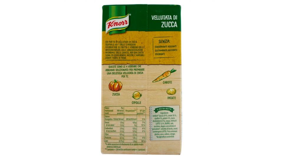 Knorr vellutata zucca brick