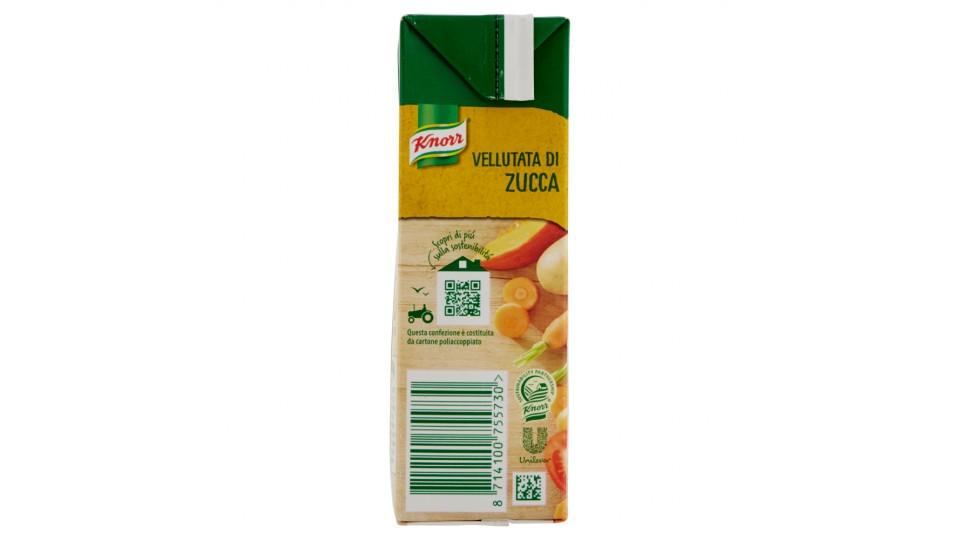 Knorr vellutata zucca brick