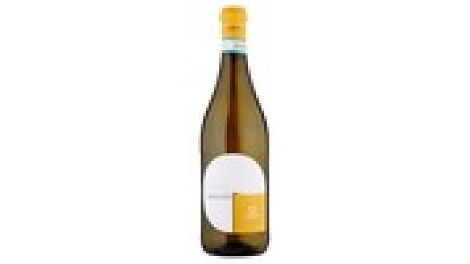 Capetta Piemonte DOC Moscato