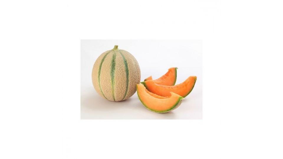 Melone brasile kg.