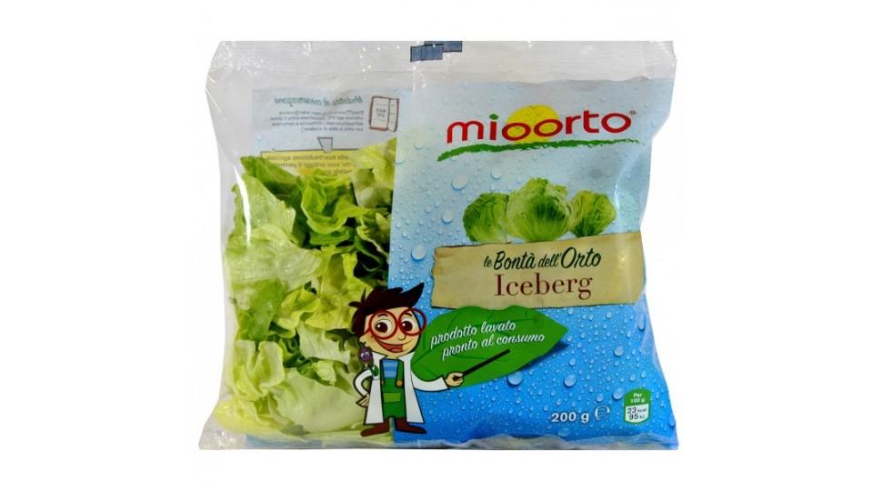 mioorto insalata iceberg