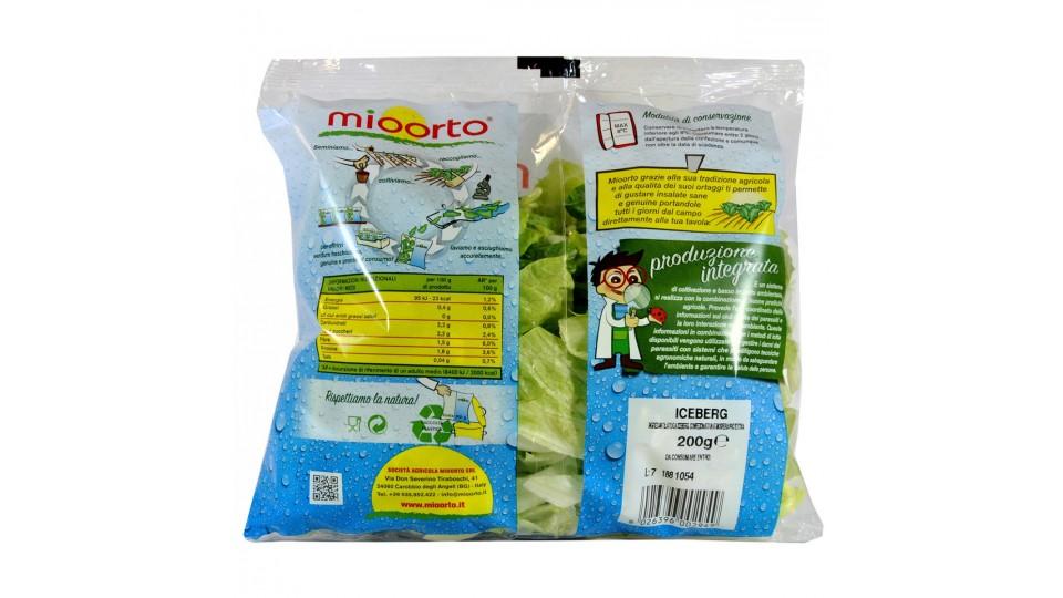 mioorto insalata iceberg