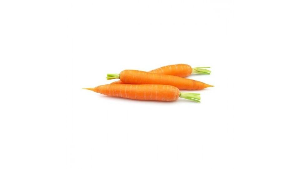 carote x pinzimonio