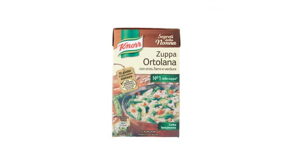 Knorr zuppa ortolana brick