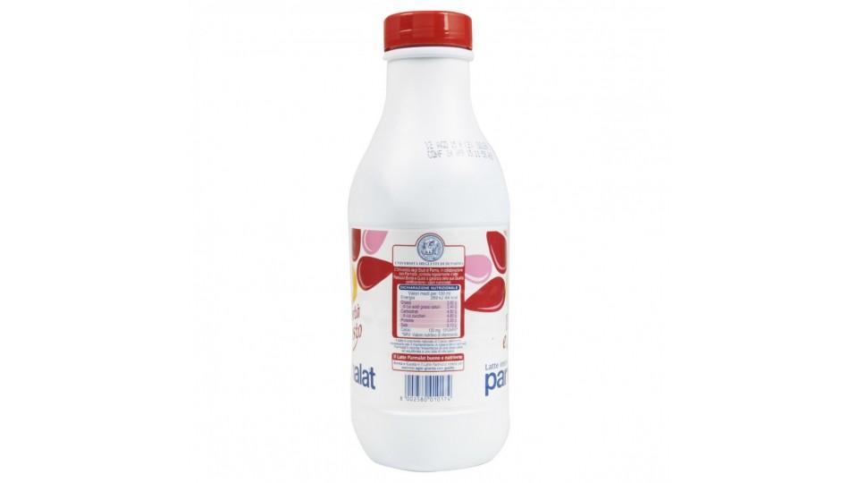Parmalat latte intero bottiglia