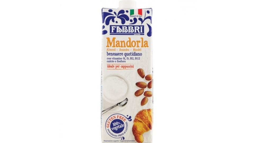 Fabbri latte alla Mandorla benessere quotidiano brik