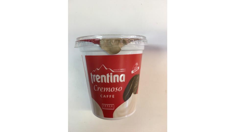 Trentina yogurt caffe'