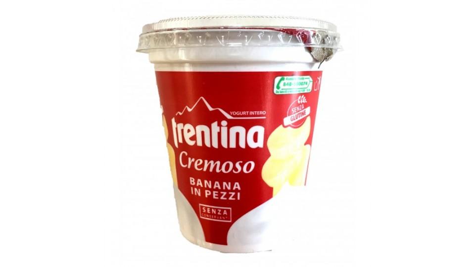 Trentina yogurt banana