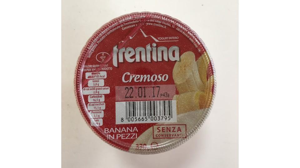 Trentina yogurt banana