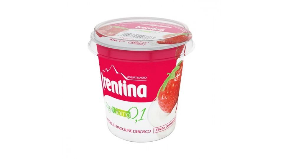 Trentina yogurt fragola