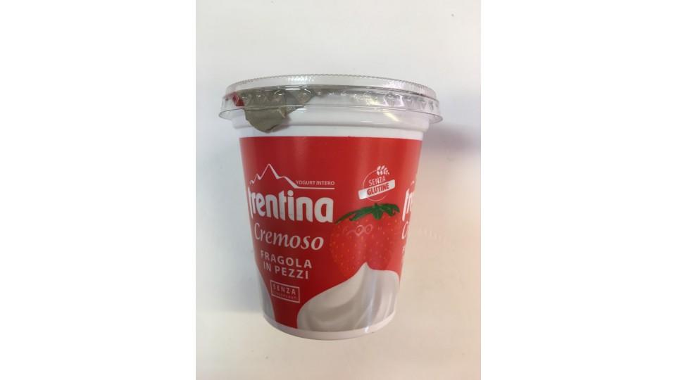 Trentina yogurt fragola