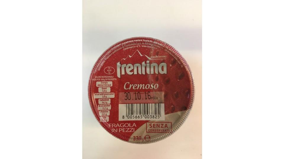 Trentina yogurt fragola