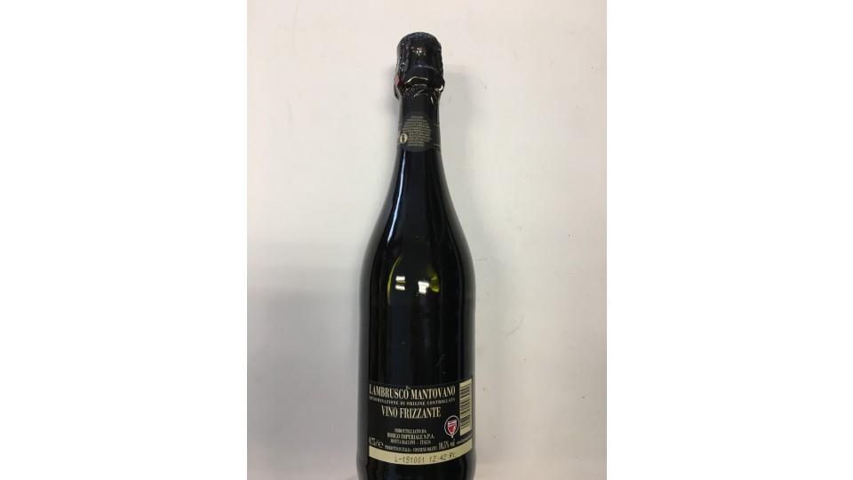 Lambrusco mantovano borgo