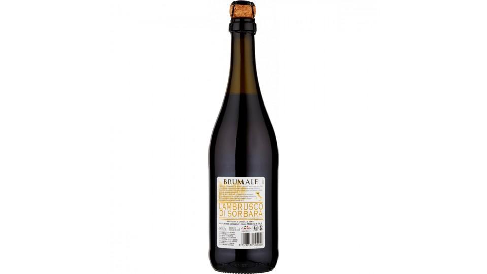 Brumale lambrusco sorbara