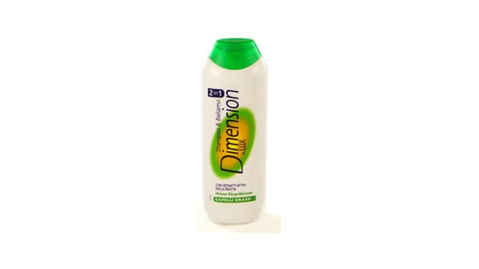 Dimension 2 in 1 shampoo capelli grassi