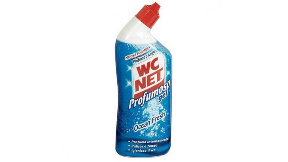 Wc net profumoso gel cassa mista