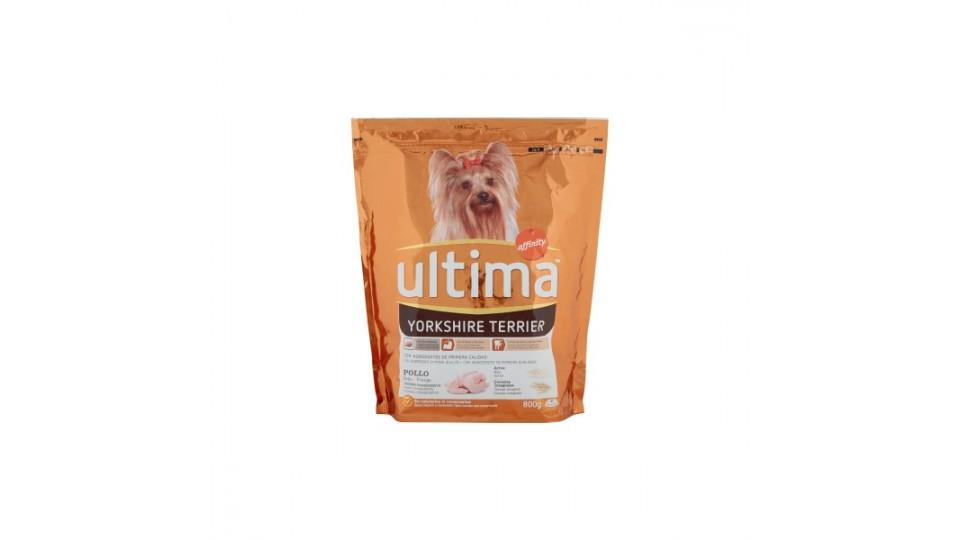 Ultima affinity dog yorkshire