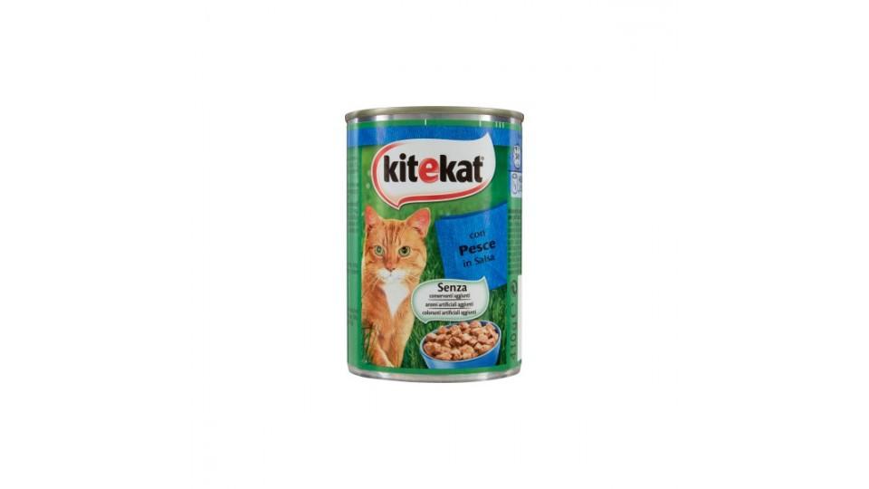 Kitekat bocconcini pesce