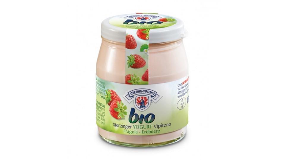 Vipiteno yogurt bio fragola