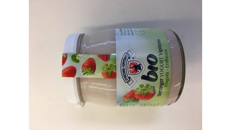 Vipiteno yogurt bio fragola