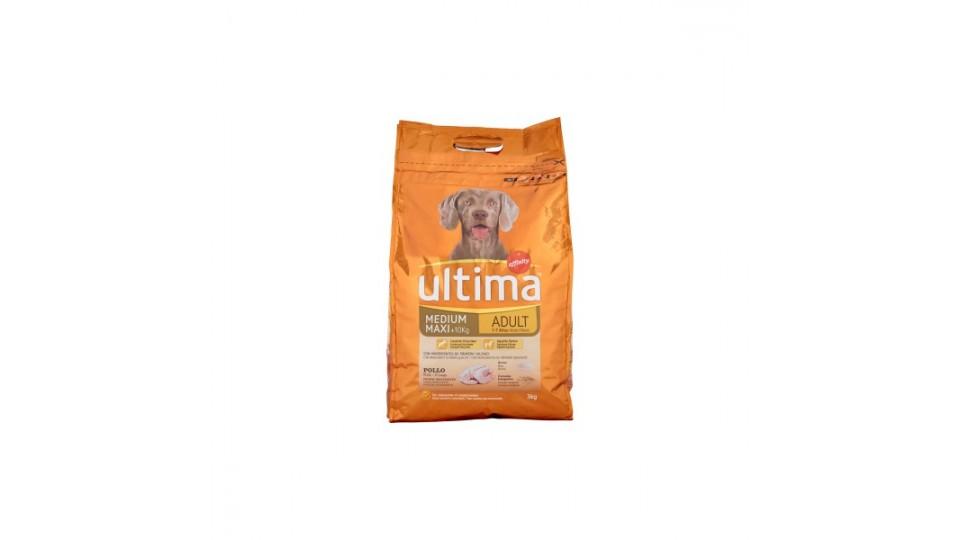 Ultima dog adult pollo riso