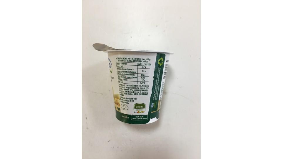 Mila yogurt banana gr125