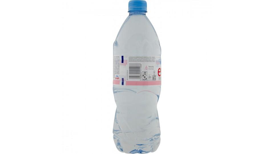 Evian acqua naturale x 6