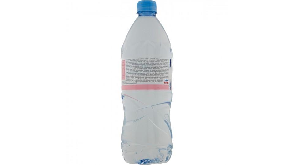 Evian acqua naturale x 6