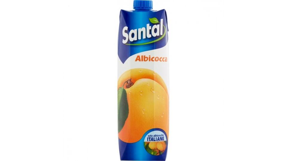 Santàl succo Albicocca