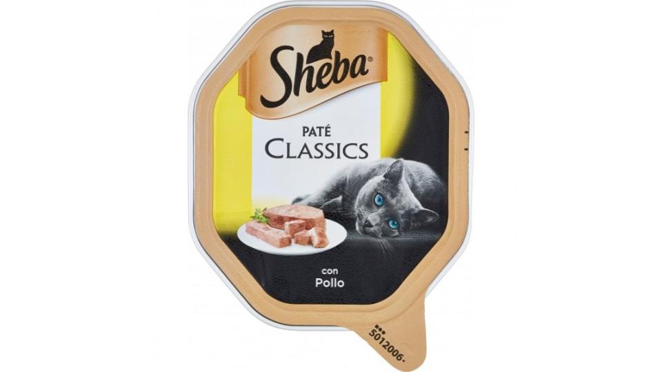 Sheba pate pollo