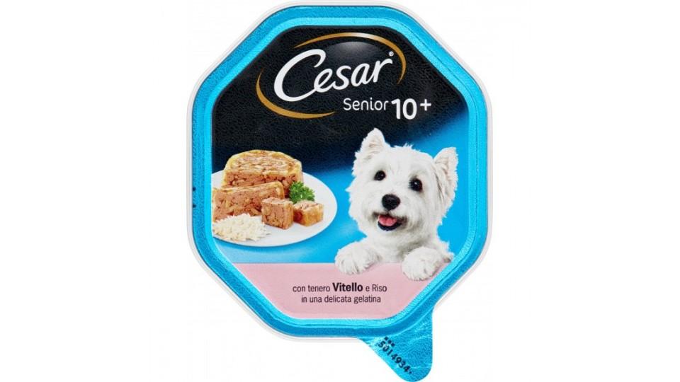 Cesar Senior 10+ con tenero Vitello e Riso in una delicata gelatina