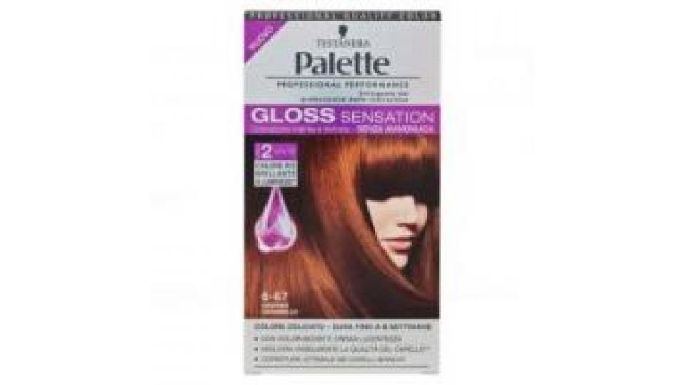 Palette Gloss Sensation 6-67 Castano Caramello