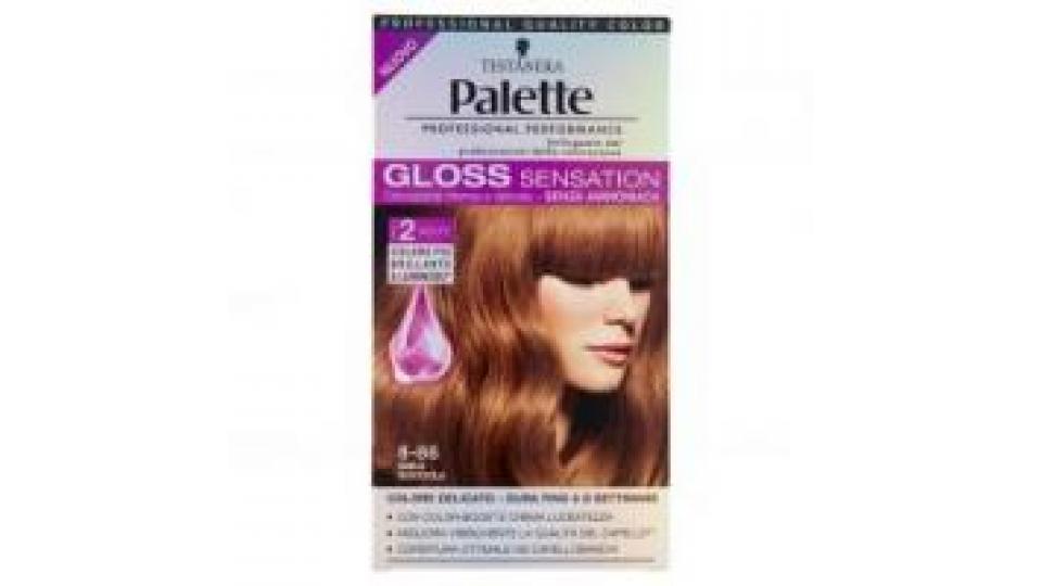 Palette Gloss Sensation 8-86 Miele Nocciola