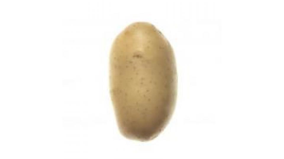 Patate Bianche