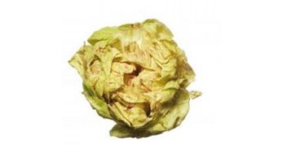 Radicchio Variegato Flow Pack