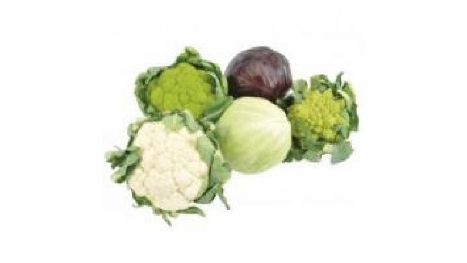 Tris Rosette (cav. Bianco, Cav. Romanesco,broccolo)