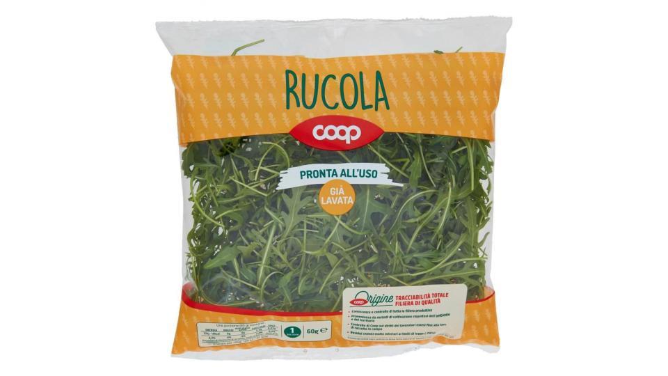 Rucola